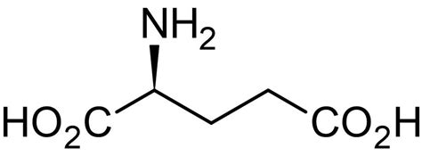 L Glutamate Excitatory Neurotransmitter Ab120049 アブカム