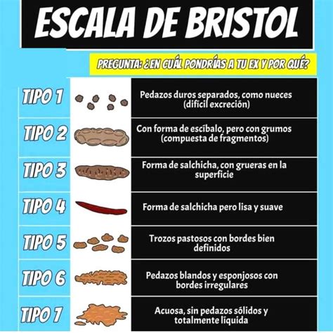 Res Menes De Escala De Bristol Descarga Apuntes De Escala De Bristol