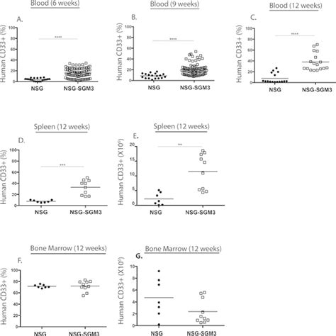 Human Cd33 Myeloid Cell Engraftment Kinetics In The Peripheral Blood