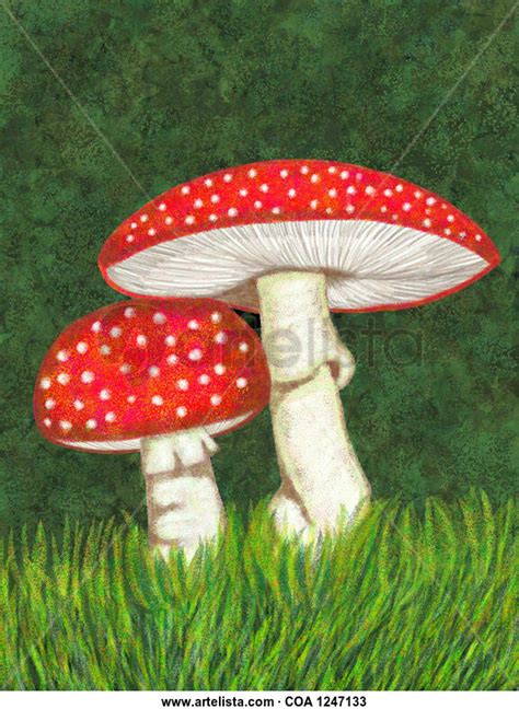 Amanita Muscaria Art