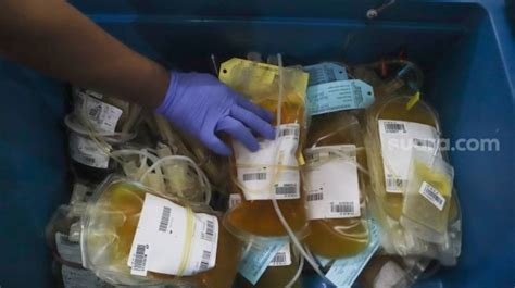 Simak 6 Syarat Menjadi Donor Plasma Konvalesen Dan Tahapan Melakukan Donor