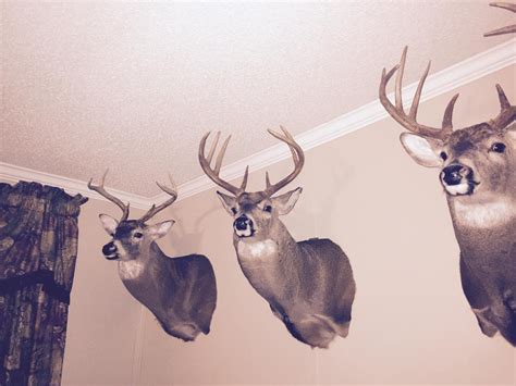Mckenzie 6900 Pics Please Archery Talk Forum