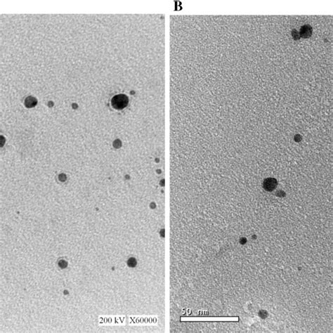 Tem Micrographs Of Synthesized Agnps Under Gamma Ray A And Agnps