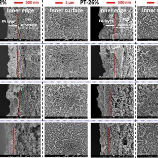 Highlighted Fesem Morphologies Of Representative Pes Hollow Fiber