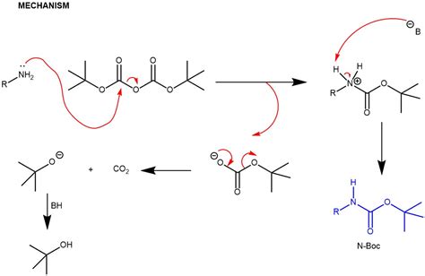 Protection Of Amine Di Tert Butyl Dicarbonate Boc Anhydride Boc O