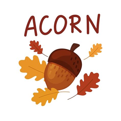 Premium Vector Cartoon Style Acorn Isolated On A White Background