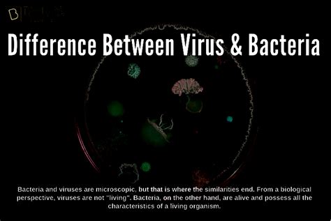 Difference Between Virus And Bacteria Detailed Comparison