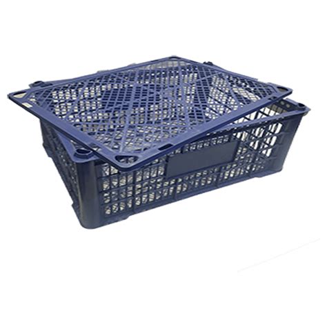 Industrial Plastic Storage Crates | Multi Pack Pakistan