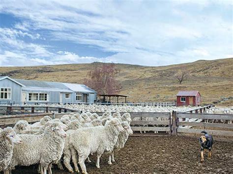 12 Breathtaking Views From High Country Stations Farms And Orchards