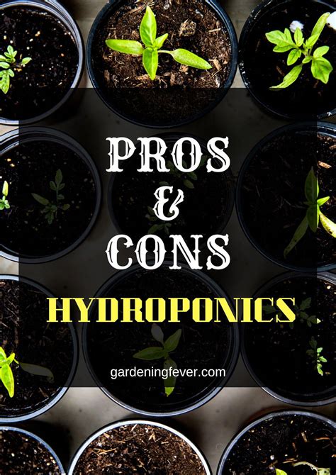 Pros And Cons Of Hydroponics Hydroponics For Beginners Step By Step