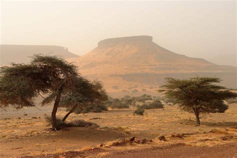 La R Gion De L Adrar Et Le D Sert Mauritanien Mauritanie