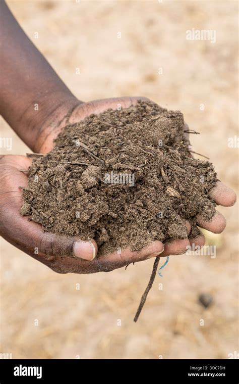 Cultivation Hi Res Stock Photography And Images Alamy