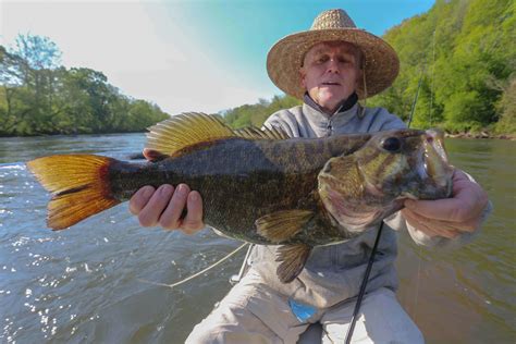 French Broad River Fishing | Smallmouth Bass Fishing Trips NC ...