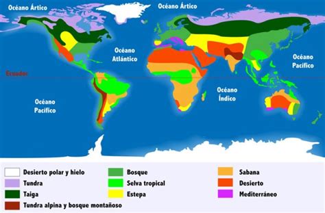 Mapa De Biomas Del Mundo Tercer Espacio Porn Sex Picture