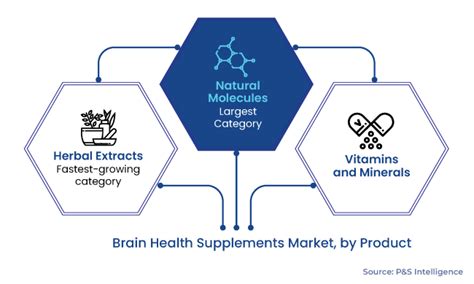 Brain Health Supplements Market Size Share Forecast