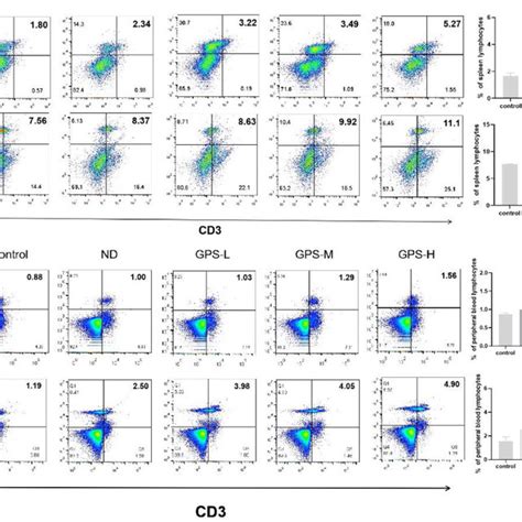 Cd3 Cd4 And Cd3 Cd8 T Cell Activation P