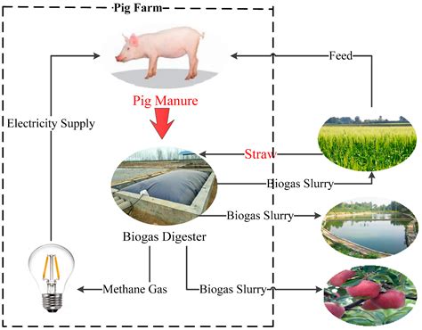 Sustainability Free Full Text Agricultural Waste Recycling