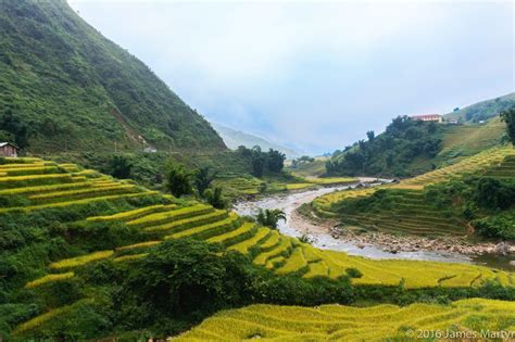 Sapa Terraced Rice Fields In Vietnam Best Time To Visit Travel Tips