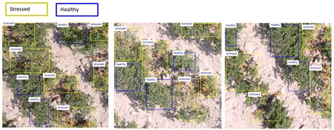 A Dataset Of Multispectral Potato Plants Images Dataset Papers With Code