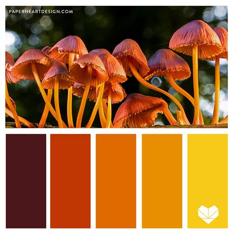 Color Palette: Mushroom Magic — Paper Heart Design