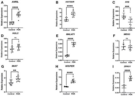 Frontiers Expressions Of Serum Lncrnas In Diabetic Retinopathy A