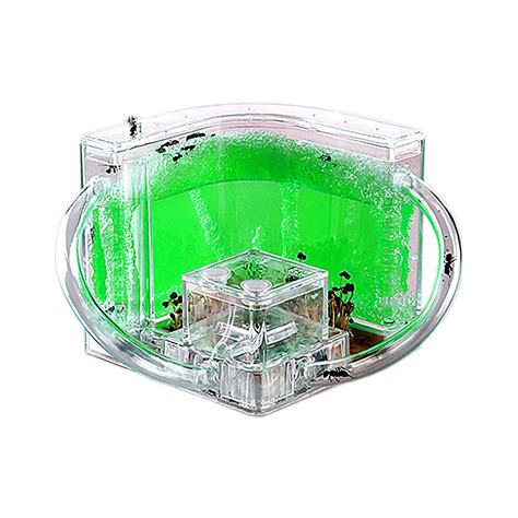Snapklik.com : EXBEPE Ant Farm For Kids Safety And Environment Gel Ant