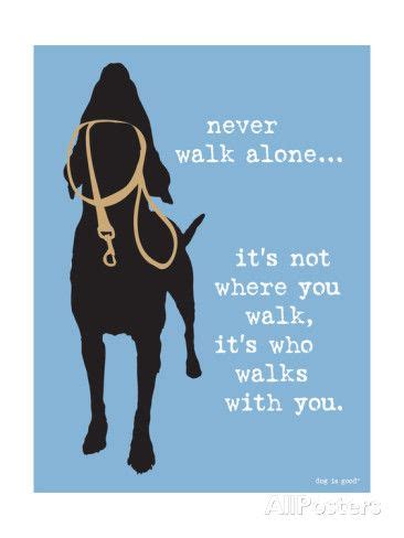 Funny Dog Walking Quotes - ShortQuotes.cc