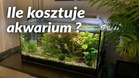 Ile Kosztuje Akwarium YouTube