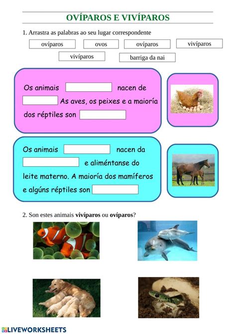 Atividades Sobre Animais Ovíparos Vivíparos E Ovovivíparos 3 Ano