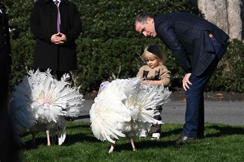 Hunter Biden shows up at WH Thanksgiving turkey pardon