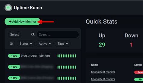 Uptime Kuma Configure Push Monitor Programster S Blog