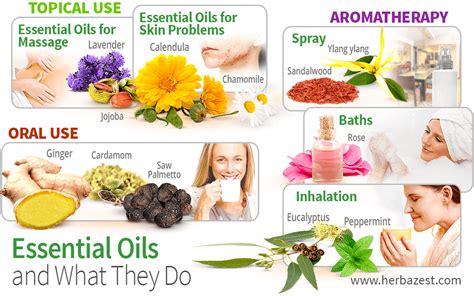 Essential Oils and What They Do | HerbaZest