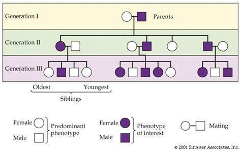 Pedigree Genetics