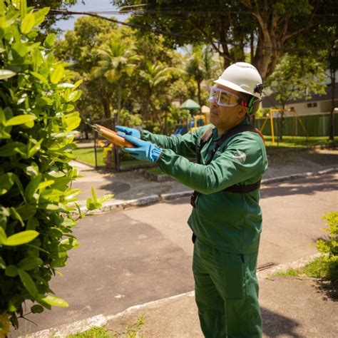 Serviço Jardinagem Gávea Facilities