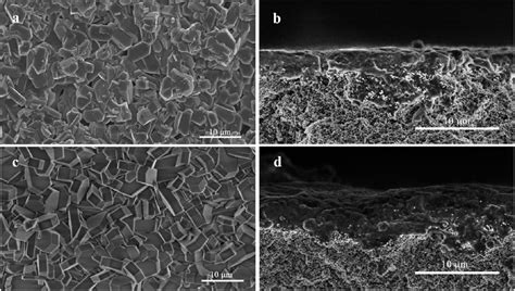 Sem Micrographs Of Silicalite 1 Zeolite Membranes A And C Top