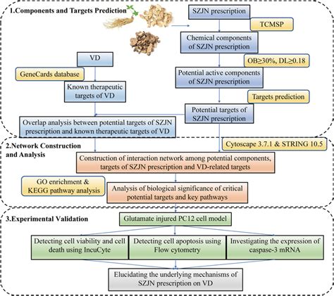 The Flowchart Of Network Pharmacology Based Strategies For Download Scientific Diagram