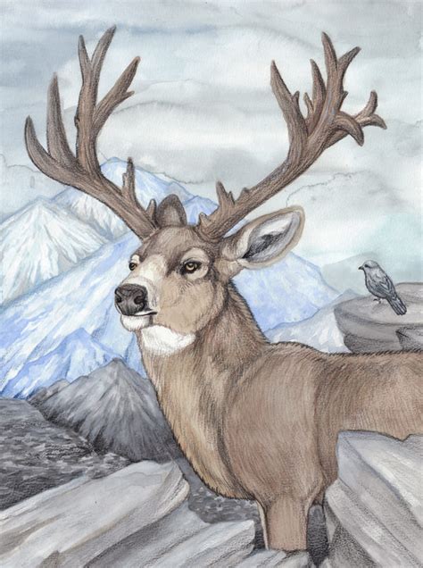 Deer Pencil Drawing at GetDrawings | Free download