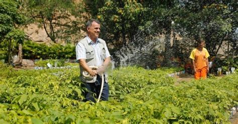 Blog Do Axel Grael Niter I Mais Verde Engenheiro Florestal Coordena