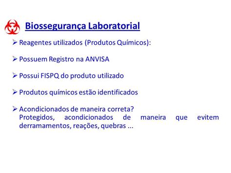 Biosseguran A Professor Lu S Gonzaga Lopes Engenheiro De Seguran A Do