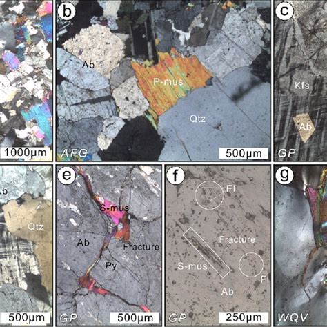 A C Photomicrographs Of The Afg A B And Gp C Showing The Download Scientific Diagram