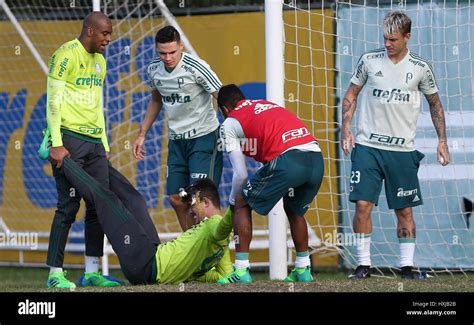 SÃO PAULO SP 28 03 2017 TREINO tun PALMEIRAS ist der Torwart