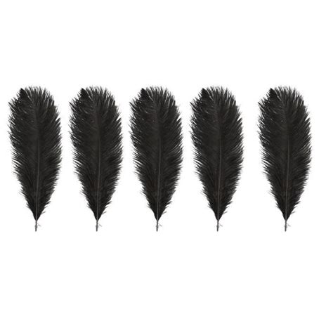 5 plumes d autruche noires Cdiscount Beaux Arts et Loisirs créatifs