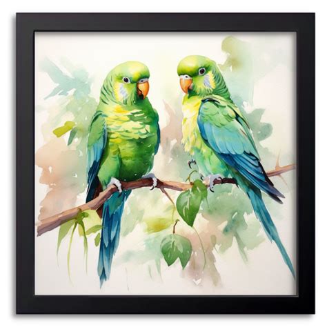 Watercolour Parakeets Artwork Drawify