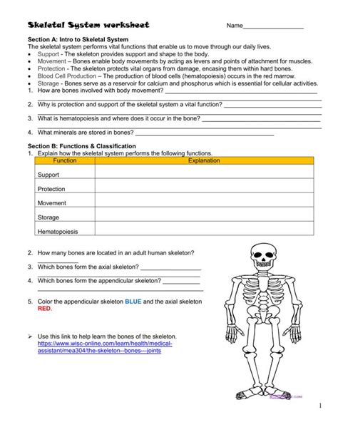 Skeletal System Answer Key Unlocking Chapter 6