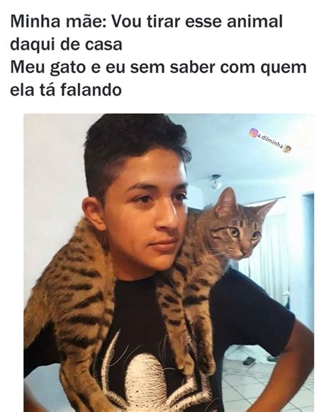 Existem Dois Tipos De Bundas Memes