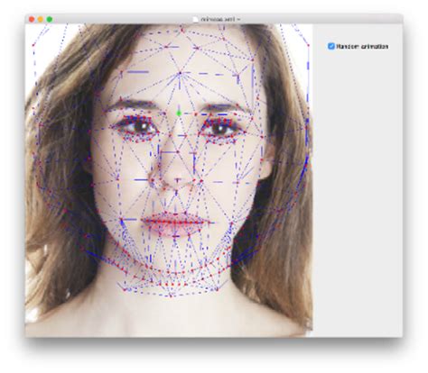 Face Tracking SDK - MoodMe