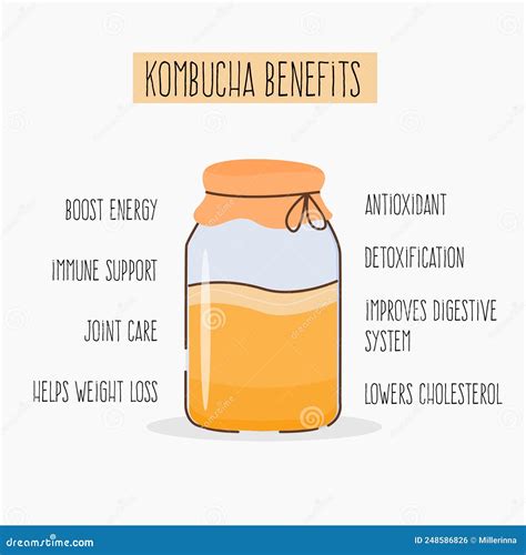 Kombucha Health Benefits Card. Fermented Probiotic Homemade Drink. Tea ...