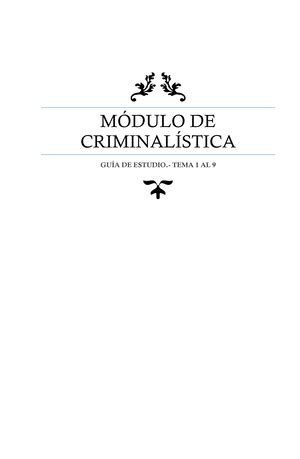 Violencia Y Criminalidad En Honduras Todo En Un Completo Resumen