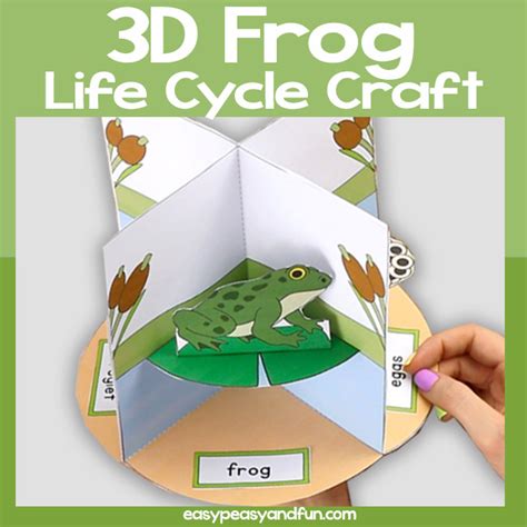 Frog Life Cycle Craft For Kids