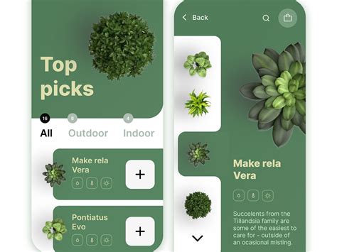 Plants App Design Designs Themes Templates And Downloadable Graphic